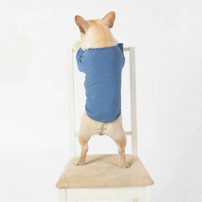 New Style Pet Clothes Wholesale Casual Dog Clothes Teddy Puppy Pet Clothes