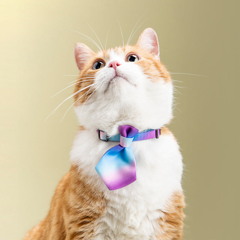Collar Dog Gentleman Tie Accessories Adjustable Pet Products