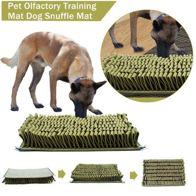 COMFORTHEDOG Dog Educational Toy Training Mat