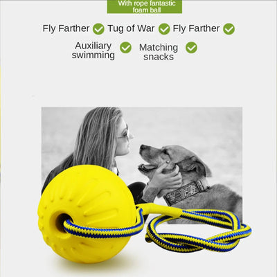 COMFORTHEDOG Dog Ball Toy with Rope
