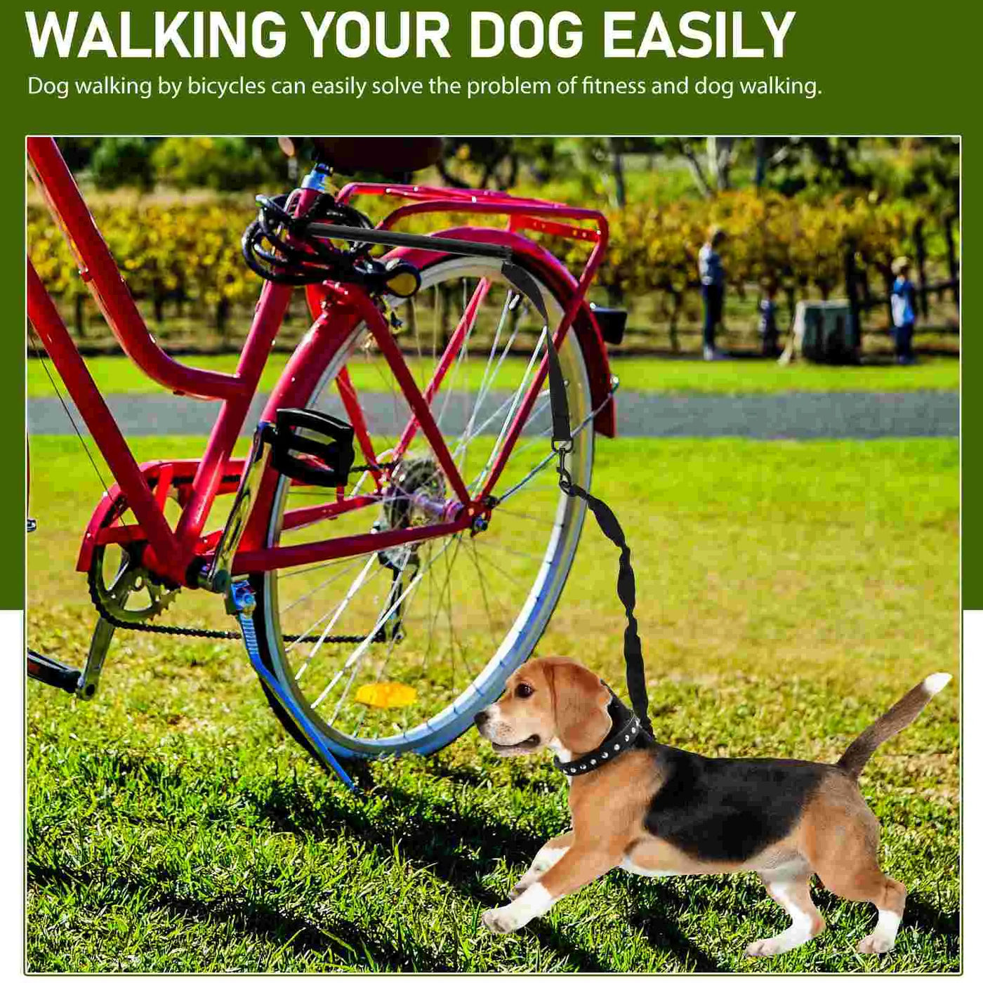 COMFORTHEDOG Bicycle Dog leash